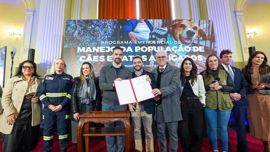 Governo anuncia novo programa de apoio aos abrigos de cães e gatos em parceria com municípios